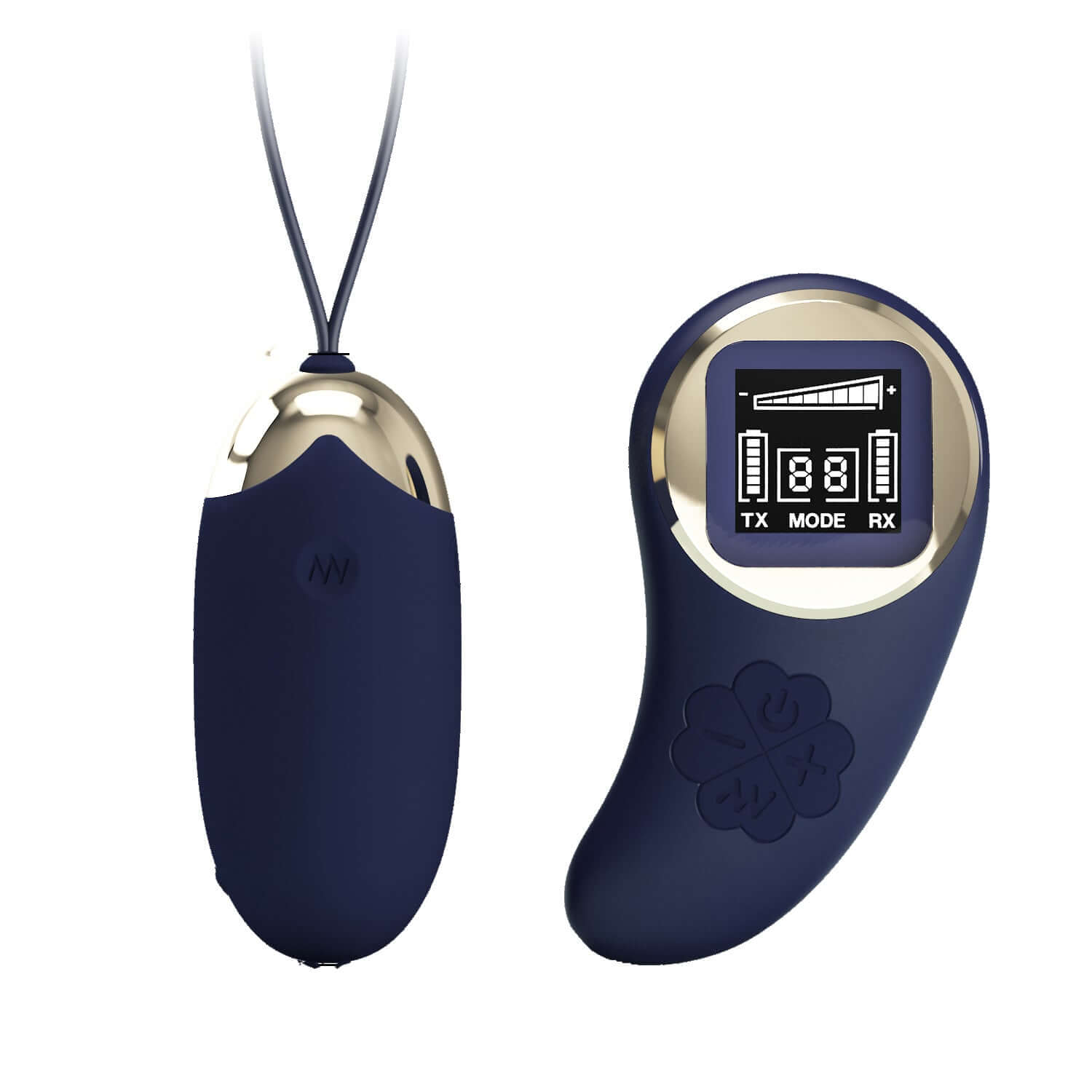 Mina Vibrating Remote Control Egg in Blue with Display and Settings