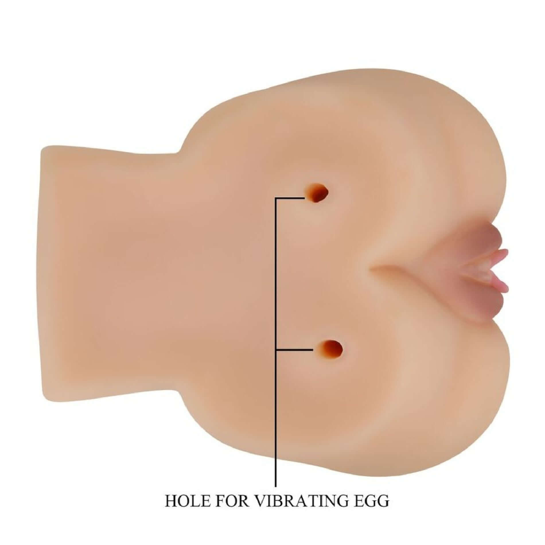 Realistic vagina and ass vibrator with holes for vibrating egg showing dual entry design for enhanced sensations.