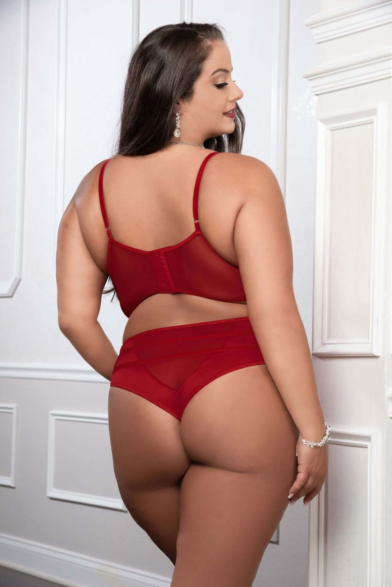 Cinnamon Red Queen Size Satin Bra and High Waist Panty with lace and mesh details, showcasing back view in elegant setting.