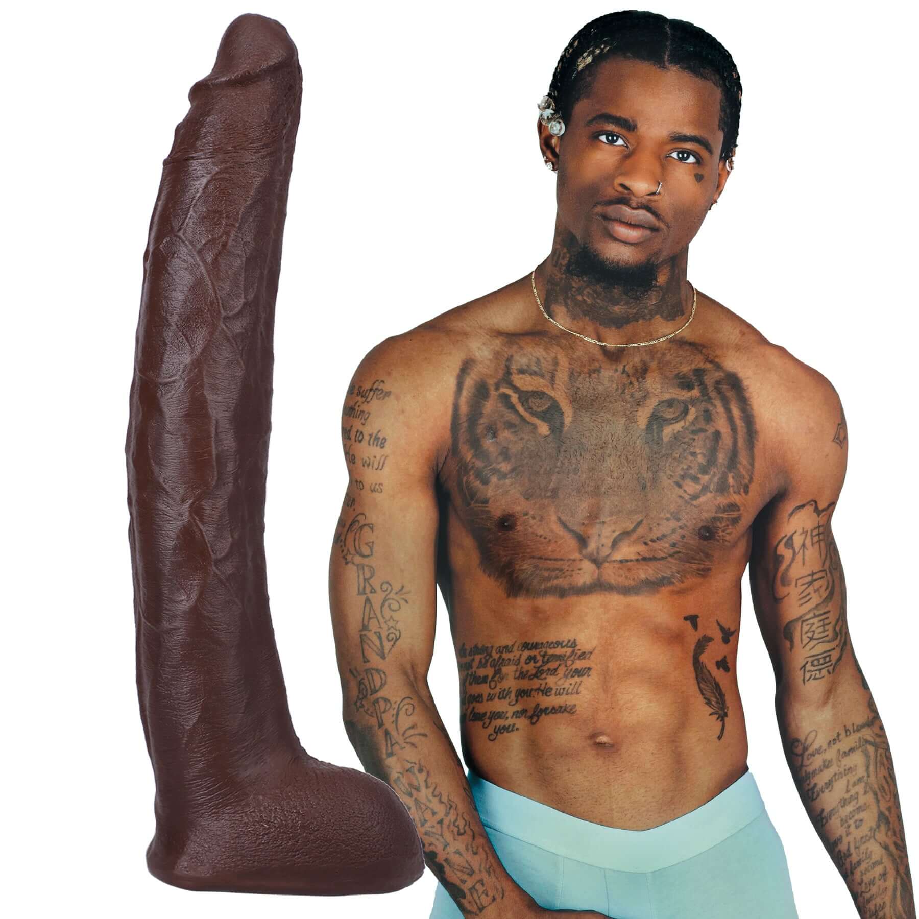 Signature Cocks - Damion Dayski - 12 Inch Ultraskyn Cock With Removable Vac-U-Lock Suction  Cup - Chocolate-5