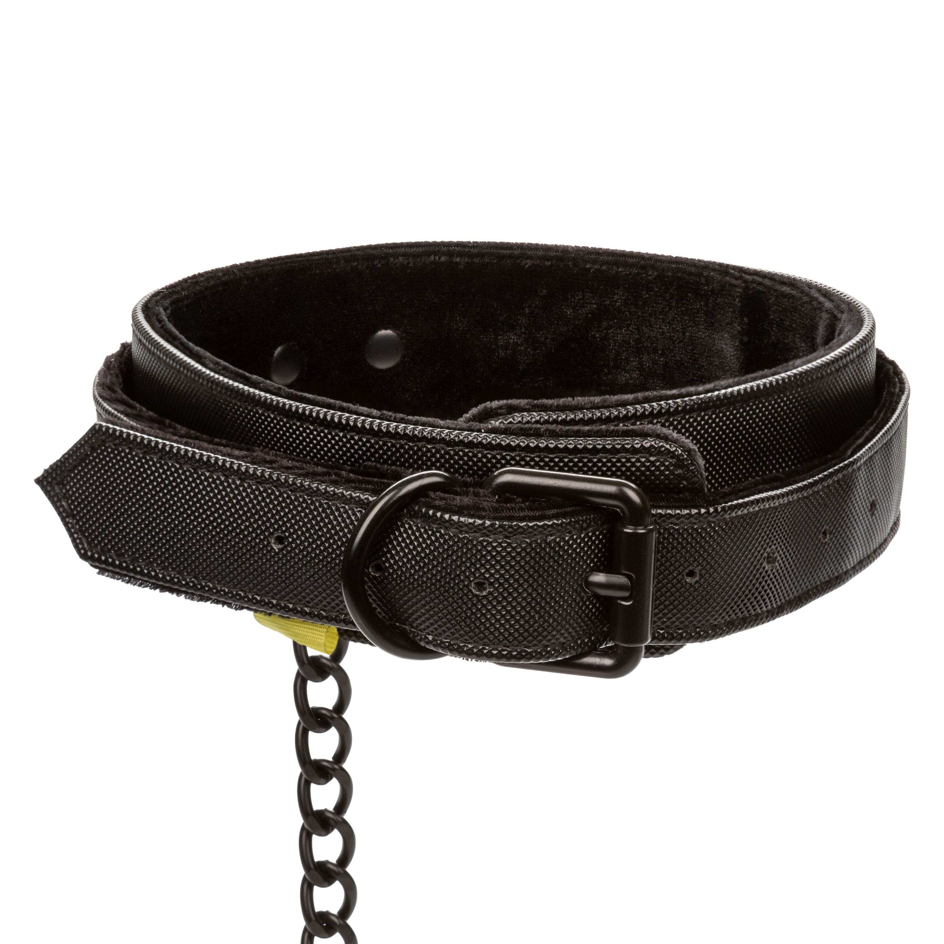 Boundless Collar &amp; Leash