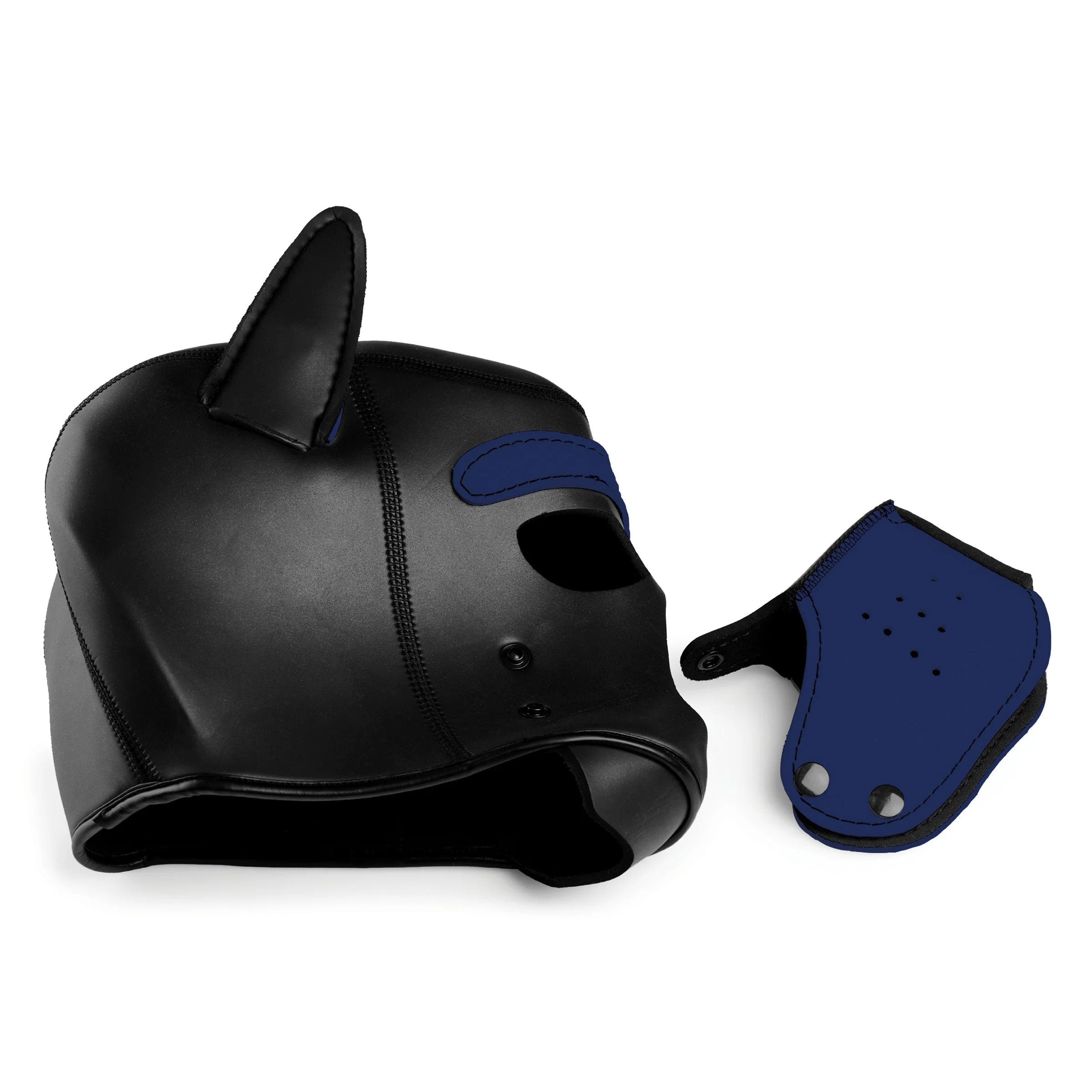 Spike Neoprene Puppy Hood - Blue