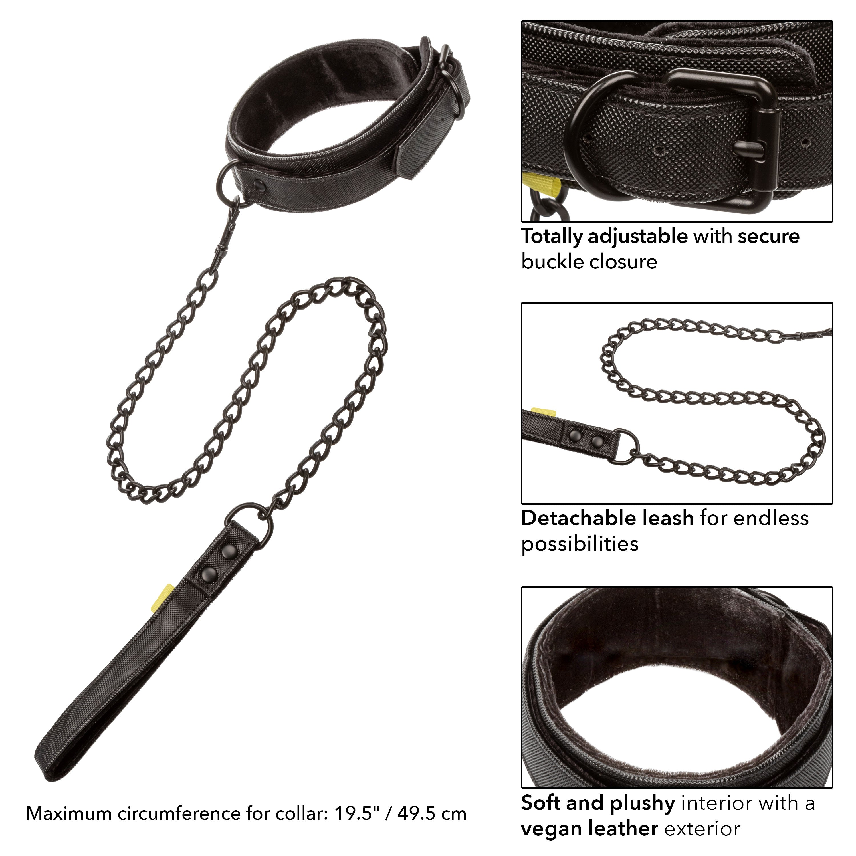 Boundless Collar &amp; Leash