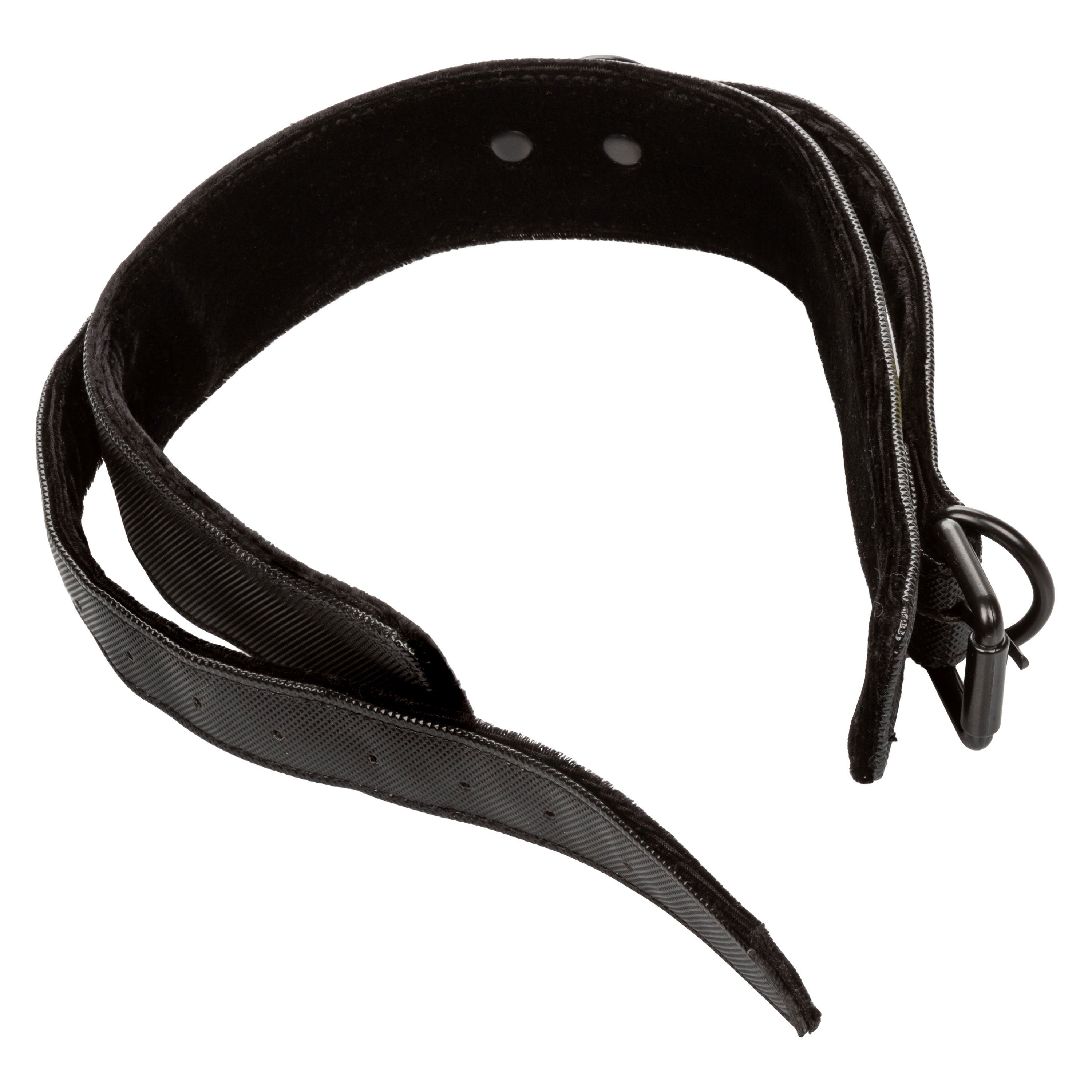 Boundless Collar &amp; Leash